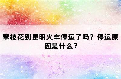 攀枝花到昆明火车停运了吗？停运原因是什么？