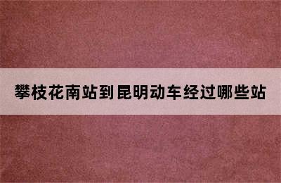 攀枝花南站到昆明动车经过哪些站