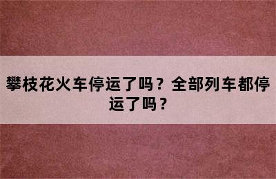 攀枝花火车停运了吗？全部列车都停运了吗？