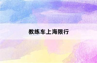 教练车上海限行