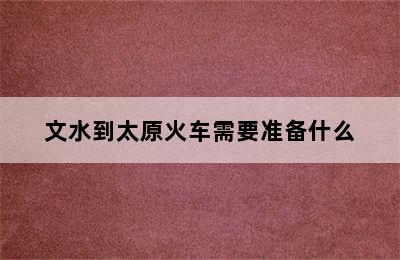 文水到太原火车需要准备什么