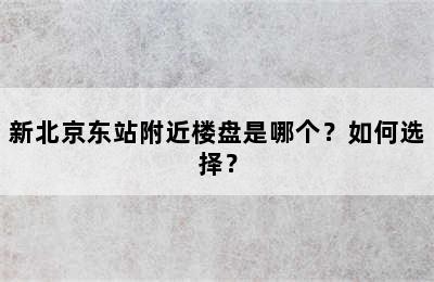 新北京东站附近楼盘是哪个？如何选择？