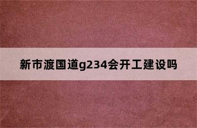 新市渡国道g234会开工建设吗