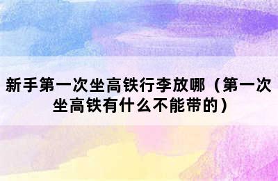 新手第一次坐高铁行李放哪（第一次坐高铁有什么不能带的）