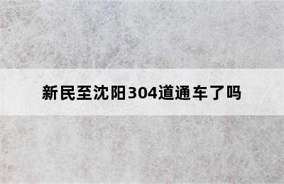 新民至沈阳304道通车了吗