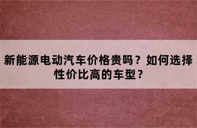 新能源电动汽车价格贵吗？如何选择性价比高的车型？