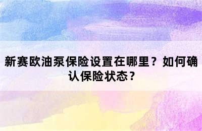 新赛欧油泵保险设置在哪里？如何确认保险状态？