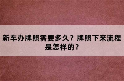 新车办牌照需要多久？牌照下来流程是怎样的？