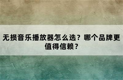 无损音乐播放器怎么选？哪个品牌更值得信赖？