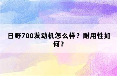 日野700发动机怎么样？耐用性如何？