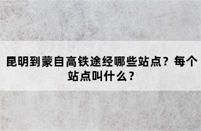 昆明到蒙自高铁途经哪些站点？每个站点叫什么？