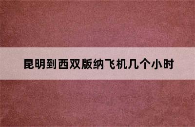 昆明到西双版纳飞机几个小时