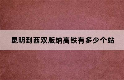 昆明到西双版纳高铁有多少个站