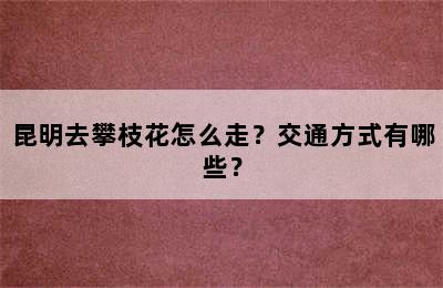 昆明去攀枝花怎么走？交通方式有哪些？