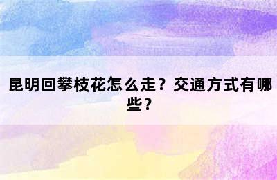 昆明回攀枝花怎么走？交通方式有哪些？