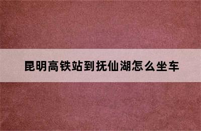 昆明高铁站到抚仙湖怎么坐车