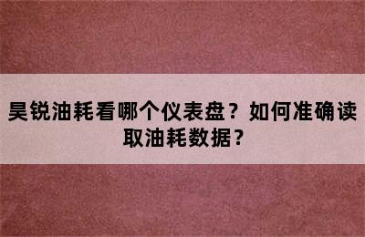 昊锐油耗看哪个仪表盘？如何准确读取油耗数据？