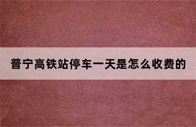 普宁高铁站停车一天是怎么收费的