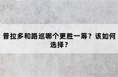 普拉多和路巡哪个更胜一筹？该如何选择？