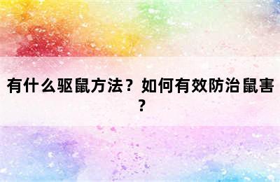 有什么驱鼠方法？如何有效防治鼠害？