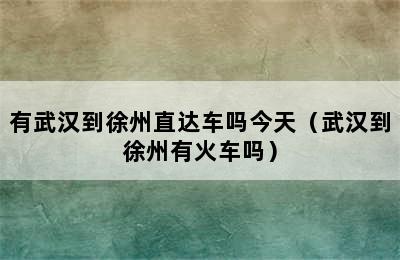 有武汉到徐州直达车吗今天（武汉到徐州有火车吗）