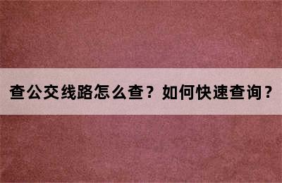 查公交线路怎么查？如何快速查询？