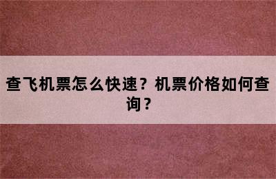 查飞机票怎么快速？机票价格如何查询？