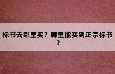 标书去哪里买？哪里能买到正宗标书？