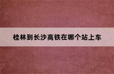 桂林到长沙高铁在哪个站上车