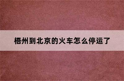 梧州到北京的火车怎么停运了