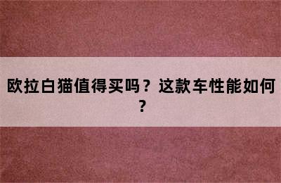 欧拉白猫值得买吗？这款车性能如何？