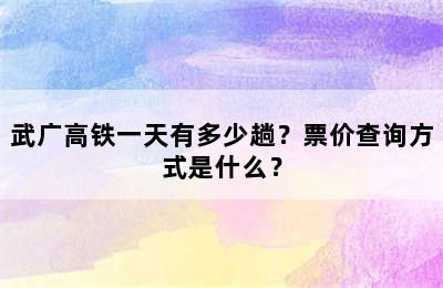 武广高铁一天有多少趟？票价查询方式是什么？