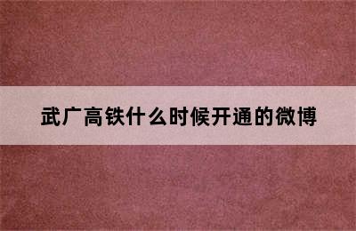 武广高铁什么时候开通的微博