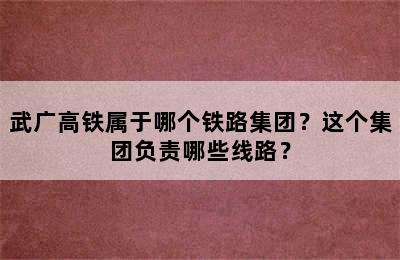 武广高铁属于哪个铁路集团？这个集团负责哪些线路？