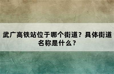 武广高铁站位于哪个街道？具体街道名称是什么？