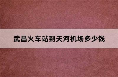 武昌火车站到天河机场多少钱