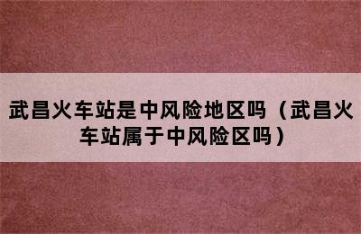 武昌火车站是中风险地区吗（武昌火车站属于中风险区吗）