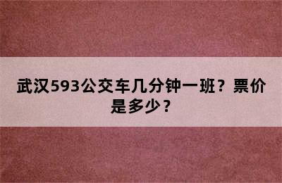 武汉593公交车几分钟一班？票价是多少？