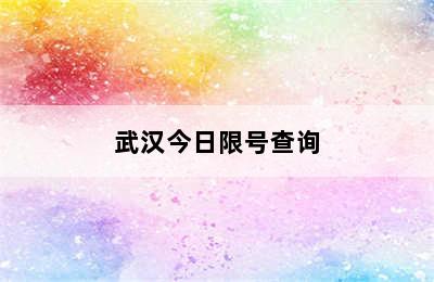 武汉今日限号查询