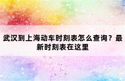 武汉到上海动车时刻表怎么查询？最新时刻表在这里