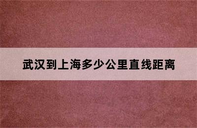 武汉到上海多少公里直线距离