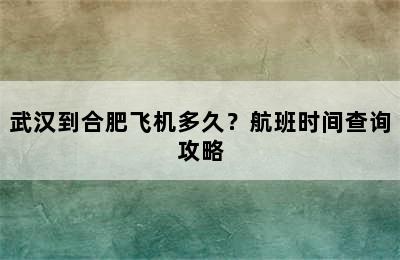 武汉到合肥飞机多久？航班时间查询攻略