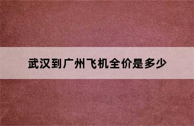 武汉到广州飞机全价是多少