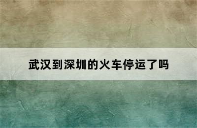 武汉到深圳的火车停运了吗