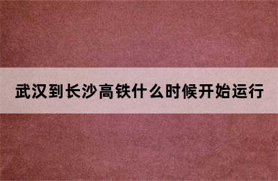 武汉到长沙高铁什么时候开始运行