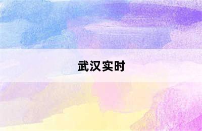 武汉实时