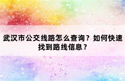 武汉市公交线路怎么查询？如何快速找到路线信息？