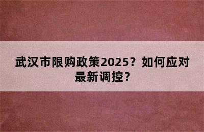 武汉市限购政策2025？如何应对最新调控？