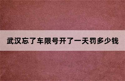 武汉忘了车限号开了一天罚多少钱