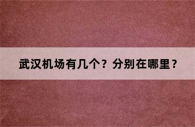 武汉机场有几个？分别在哪里？